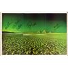 Image 1 : Pink Floyd signed poster