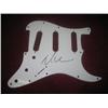 Dave Navaro Pickguard- Autographed