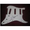 Slash Pickguard-Autographed