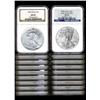 Set of Silver Eagle MS69 NGC 1986-2009