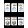 Image 3 : Set of Silver Eagle MS69 NGC 1986-2009