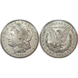 Lot of 10 Morgan Silver Dollars