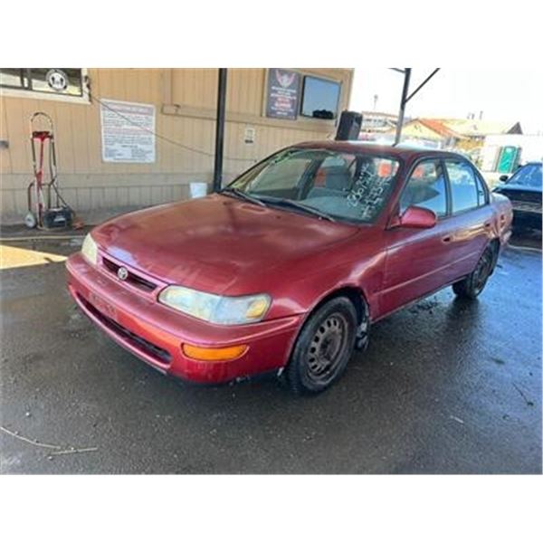 1996	Toyota	Corolla