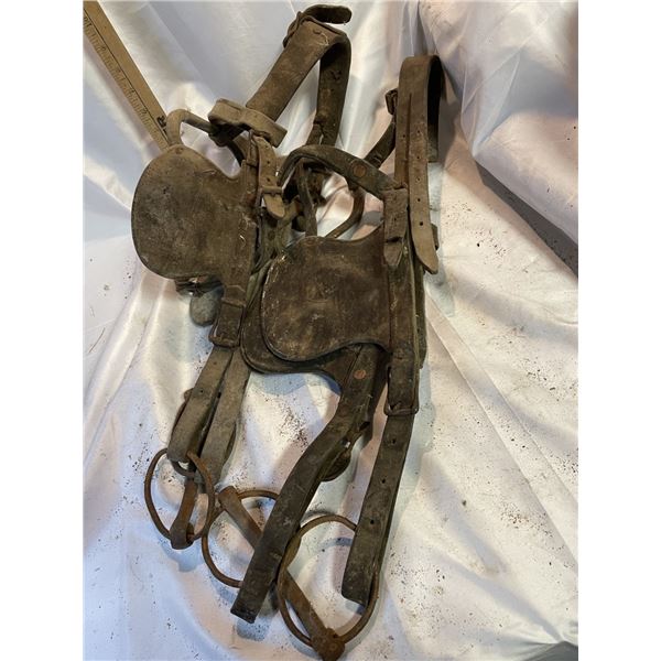 Horse Tack, Two pairs, Driving Bridles