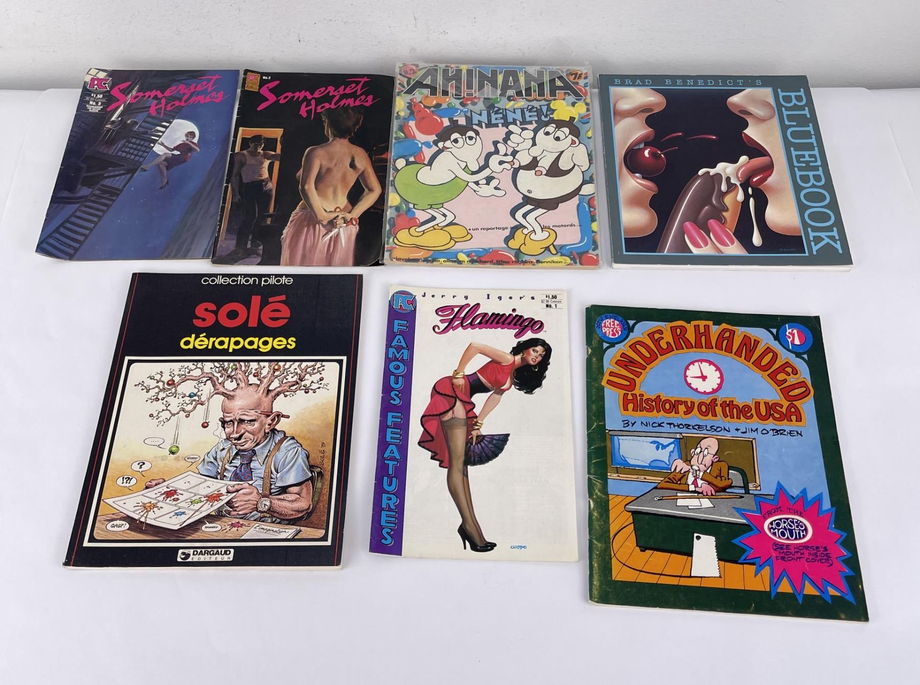 Collection of Risque Graphic Novels Comics