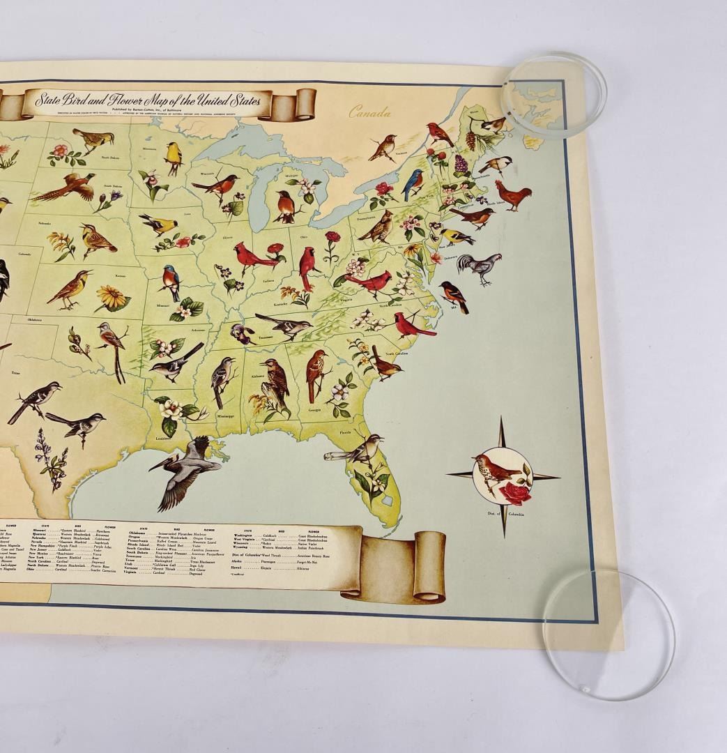 State Bird and Flower Map of the United States