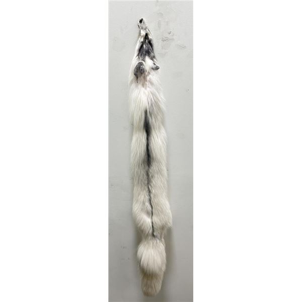 Beautiful Ranch Marbled Fox Fur Pelt Taxidermy