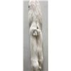 Image 7 : Beautiful Ranch Marbled Fox Fur Pelt Taxidermy