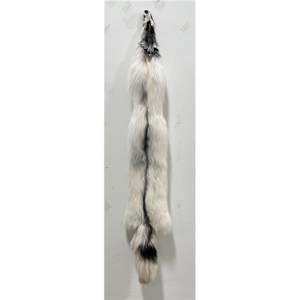 Beautiful Ranch Marbled Fox Fur Pelt Taxidermy