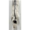 Image 3 : Beautiful Ranch Marbled Fox Fur Pelt Taxidermy