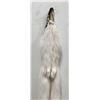 Image 5 : Beautiful Ranch Marbled Fox Fur Pelt Taxidermy