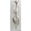 Image 6 : Beautiful Ranch Marbled Fox Fur Pelt Taxidermy