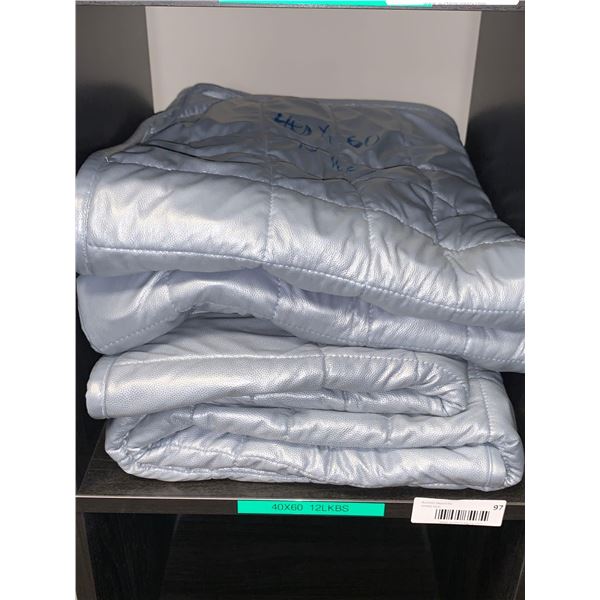 Hippo Hug 12lb Weighted Blanket 40 x 50