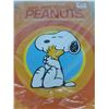 Image 6 : The Big Book of Peanuts Cat A
