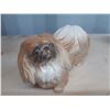 Image 3 : Pekingese Porcelain Dog Cat B