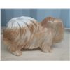 Image 4 : Pekingese Porcelain Dog Cat B