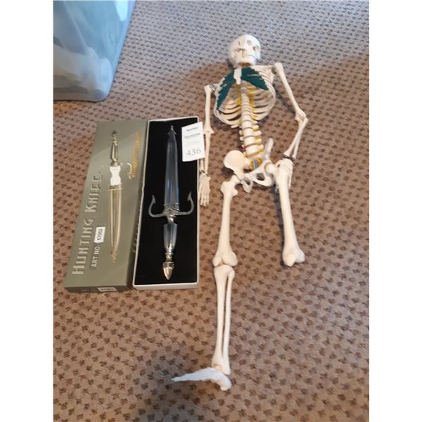 Art Hunting Knife & Skeleton Cat B