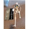 Image 1 : Art Hunting Knife & Skeleton Cat B