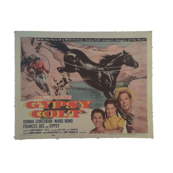 Gypsy Colt Lobby Card (1954)