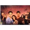 Image 1 : Autographed Breaking Dawn Poster