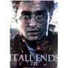 Image 1 : Harry Potter Daniel Radcliffe Autographed Poster