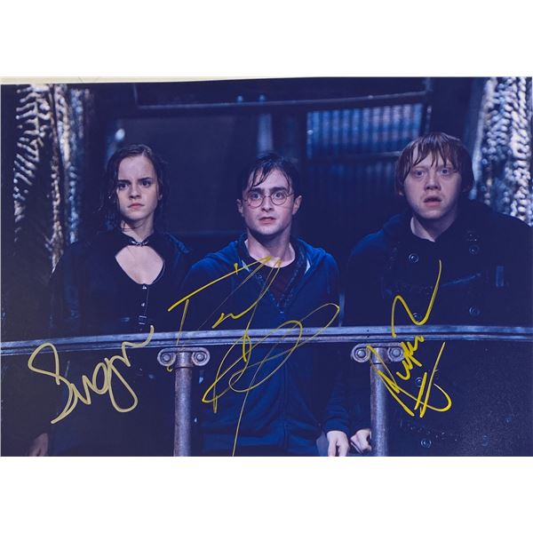 Autograph Signed Harry Potter Photo