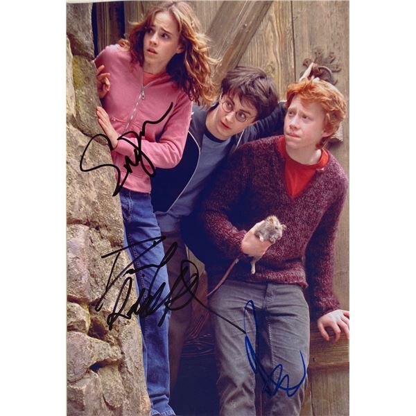 Autograph Signed Harry Potter Photo