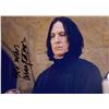 Image 1 : Autograph Signed Harry Potter Photo
