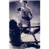 Image 1 : Autograph Signed Raging Bull Photo