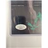 Image 4 : Signed Arrow JSA Photo