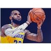 Image 1 : Autograph Signed LeBorn James  Photo