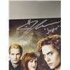 Image 3 : Autographed Twilight SWAU Poster
