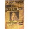 Image 1 : Autograph Harry Potter Poster