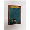 Image 2 : Autograph Stephen Collins Vintage Card
