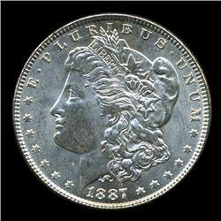 1887 Morgan Dollar Choice BU Scarce Variety (COI-4509)