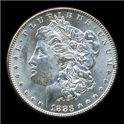 1883 Morgan Dollar Choice BU Scarce Variety (COI-4519)