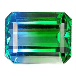 32.40 ct  Screaming  Octagon Bi Color Quartz FLAWLESS (GEM-10606)