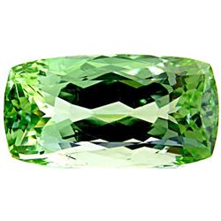 18.22Ct Top Quality 100% Natural Green Kunzite Pakistan VVS (GEM-11037)