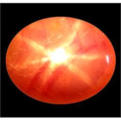 3.65ct Oval Cab Natural Top Red 6 Rays Star Ruby (GEM-11451)