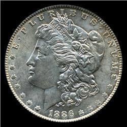 1886 Morgan Dollar AU++++ Scarce Variety (COI-4646)
