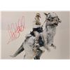 Image 1 : Star Wars Mark Hamill Autograph Photo