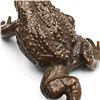 Image 5 : Fine Copper Frog Ornament