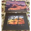Image 1 : Framed Grand Canyon Music Festival 1987 Plus and an Original Water Colour Art Piece