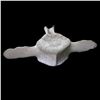 Image 2 : A Whale Vertebrae.