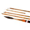 Image 2 : Collection of Native American Arrows and a Spear.