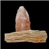Image 1 : Petrified Wood Fragment and Himalayan Salt Crystal Lamp.