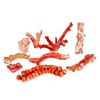 Image 1 : Group of Red Coral Specimens.