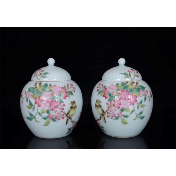 Chinese famille rose porcelain jar pair
