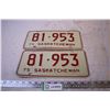 Image 1 : (2) Matching Pair 1975 Saskatchewan Licence Plates