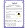 Image 2 : Genuine 0.76 ctw Garnet & Diamond Ring 14KT Yellow Gold - REF-20H8X